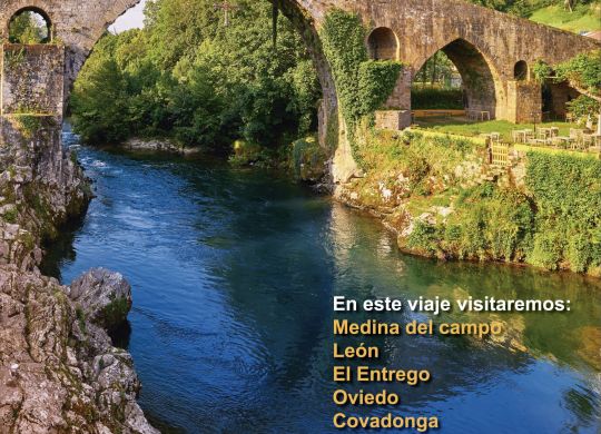 Poster Asturias 2022